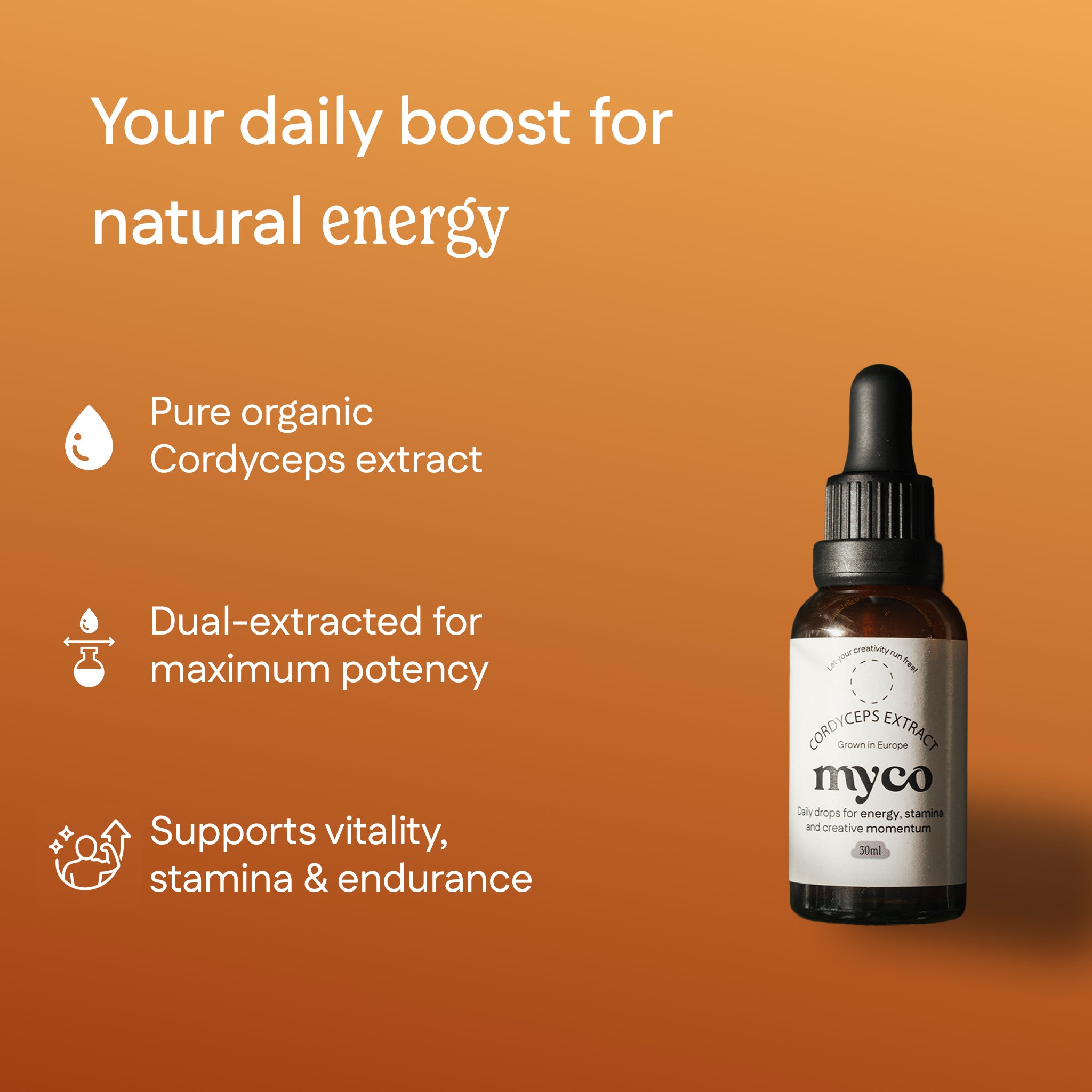 Cordyceps Extract