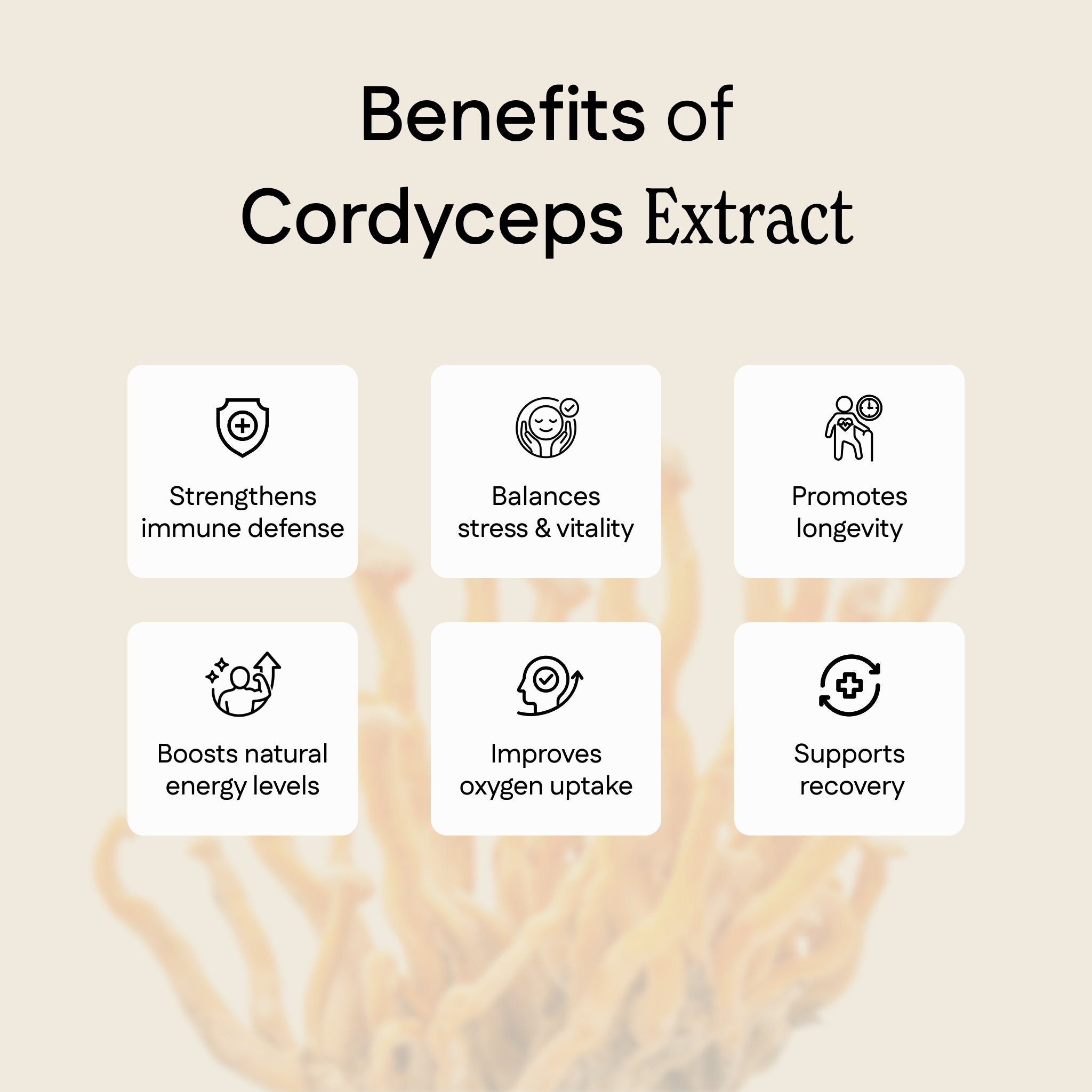 Cordyceps Extract