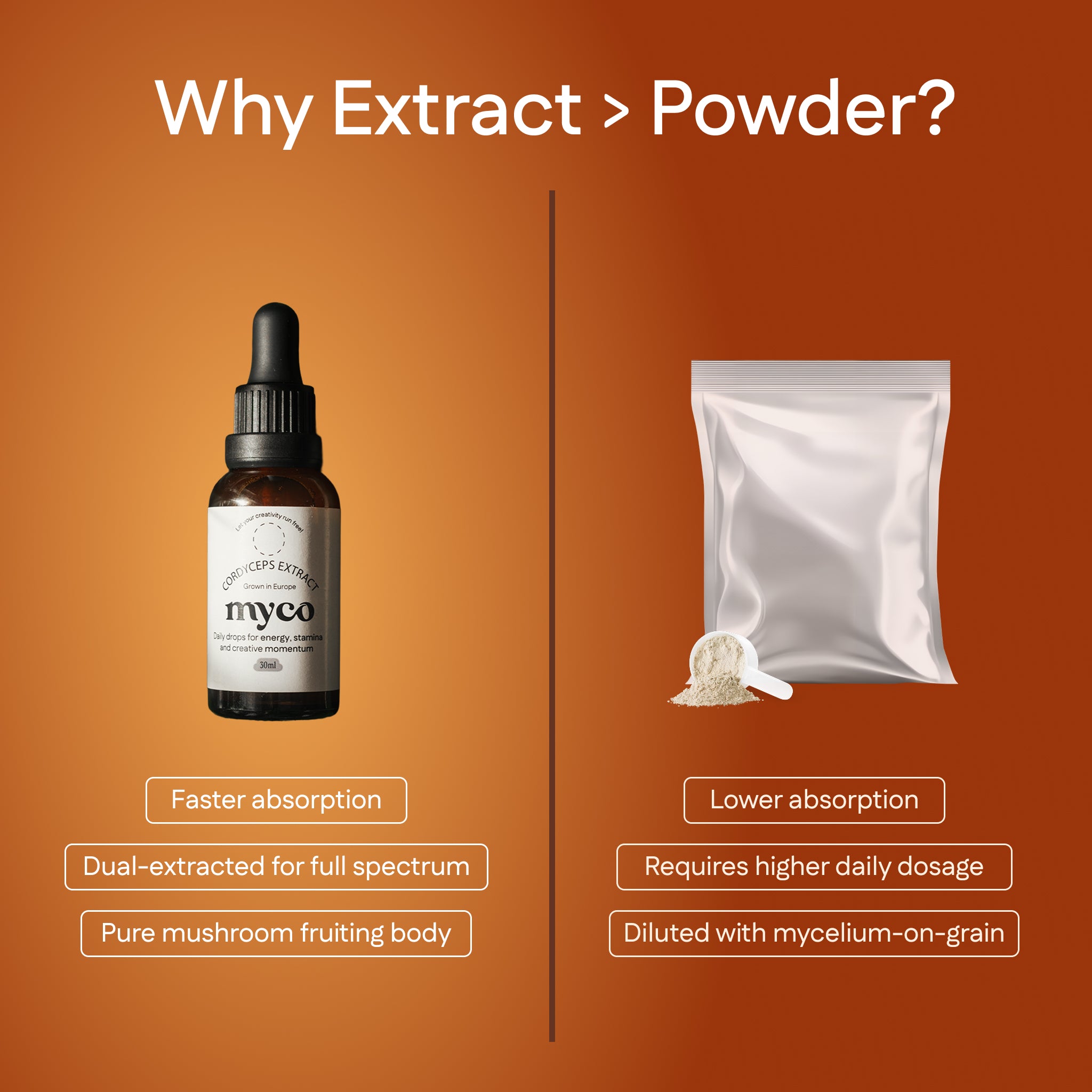 Cordyceps Extract