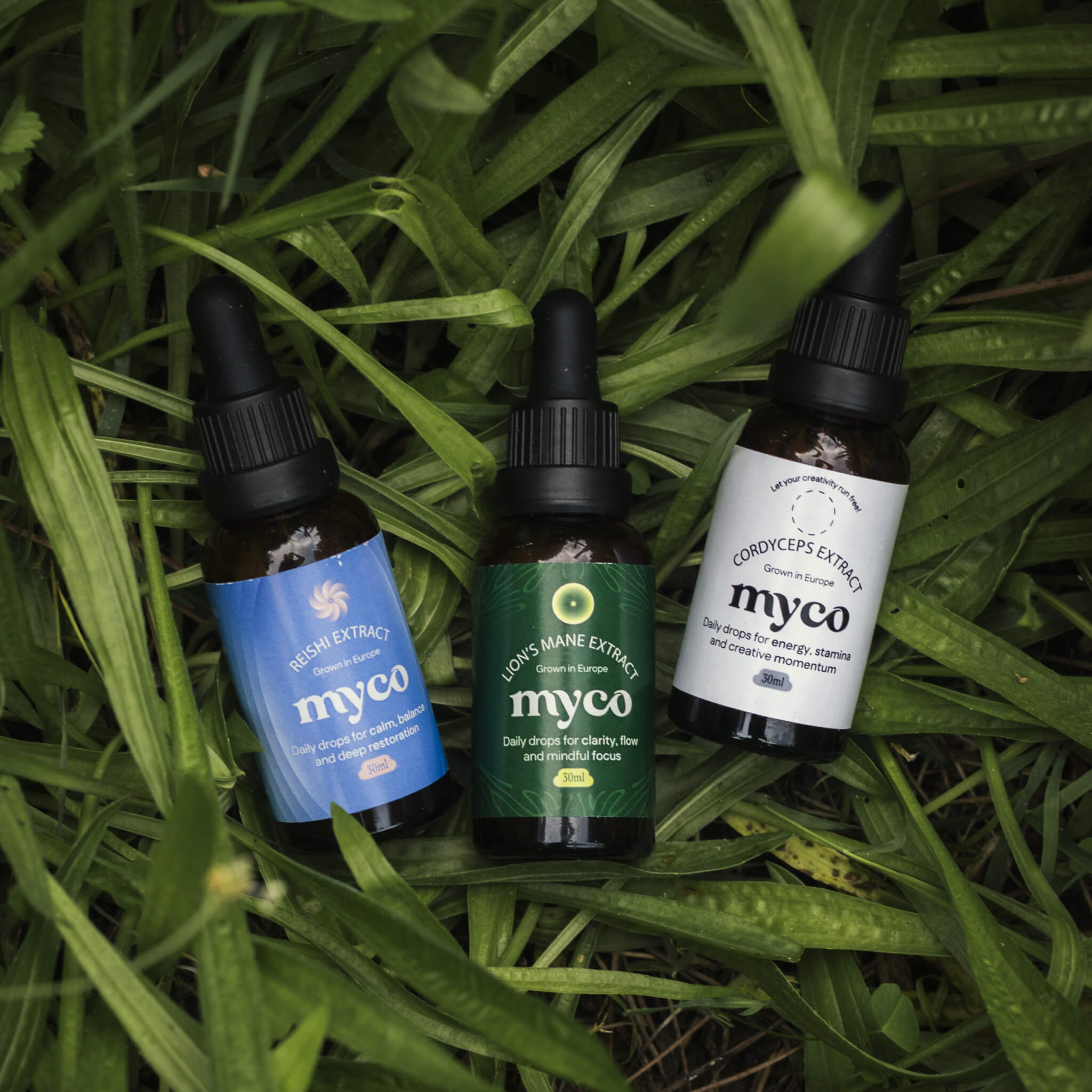 Extract Bundle