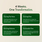 Focus & Flow