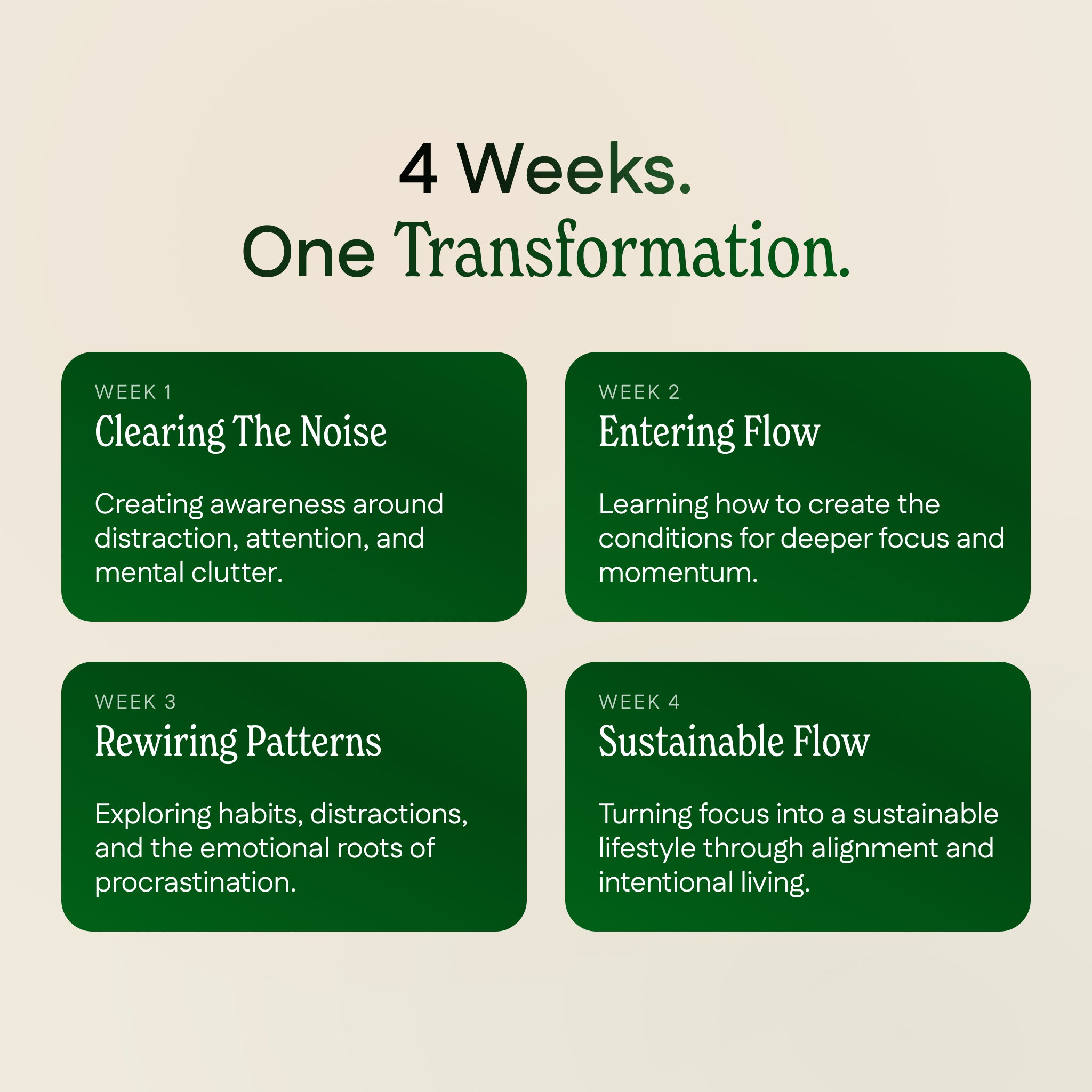 Focus & Flow