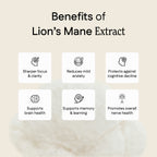 Lion's Mane Extract