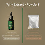 Lion's Mane Extract