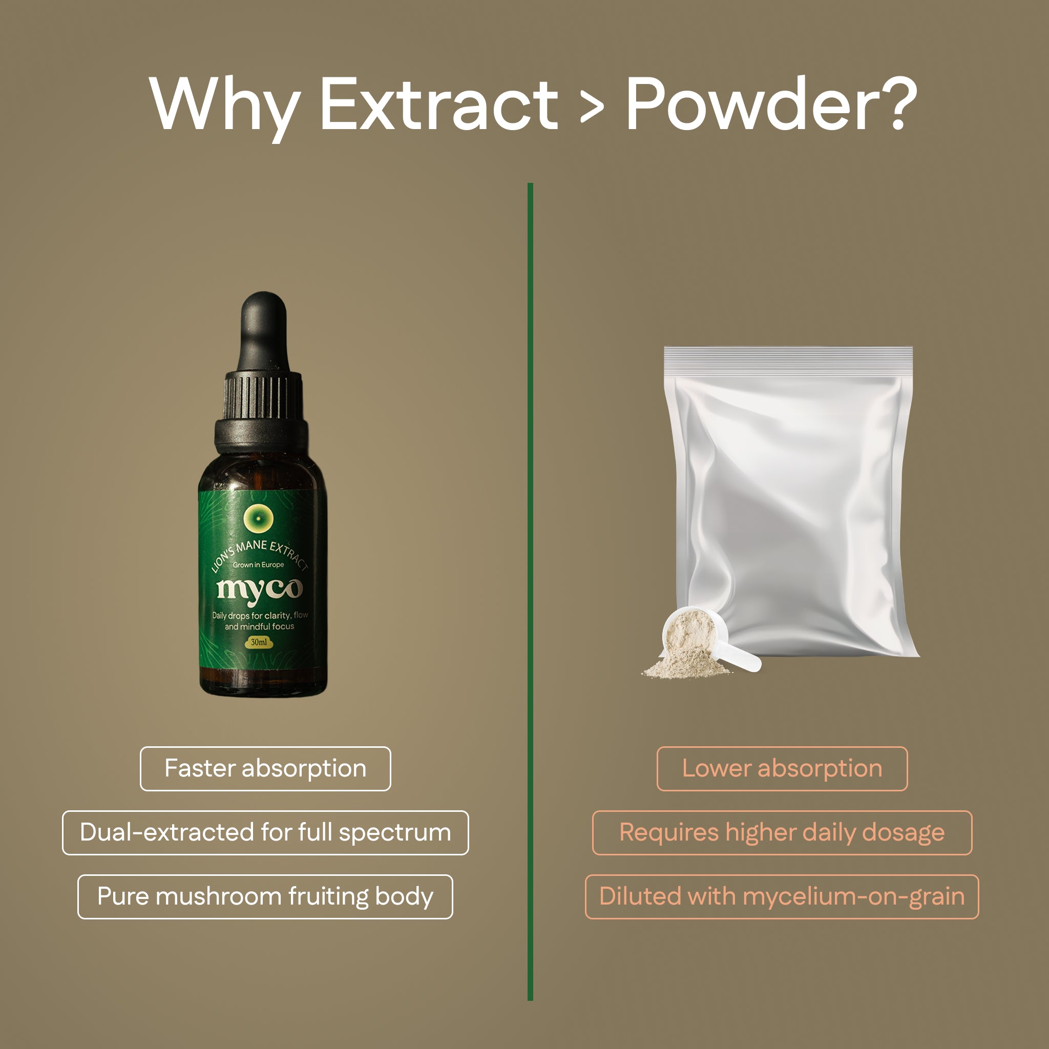 Lion's Mane Extract