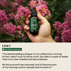 Lion's Mane Extract