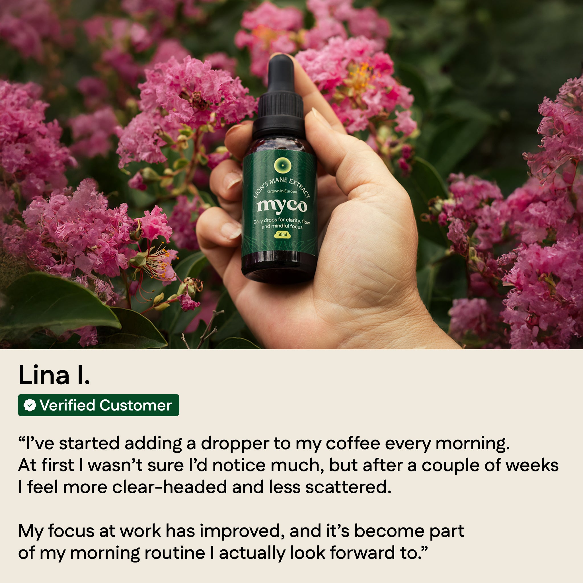 Lion's Mane Extract