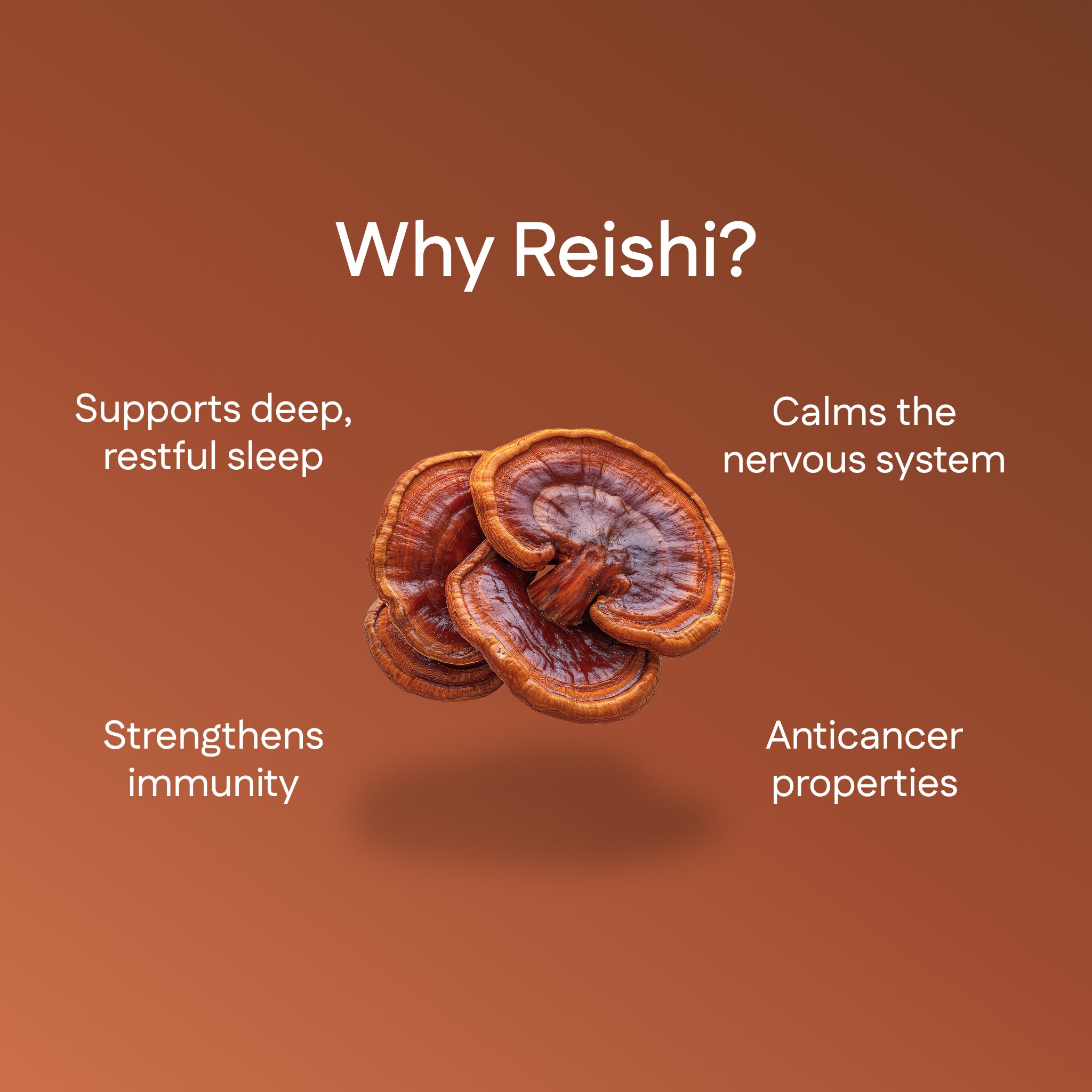 Reishi Extract