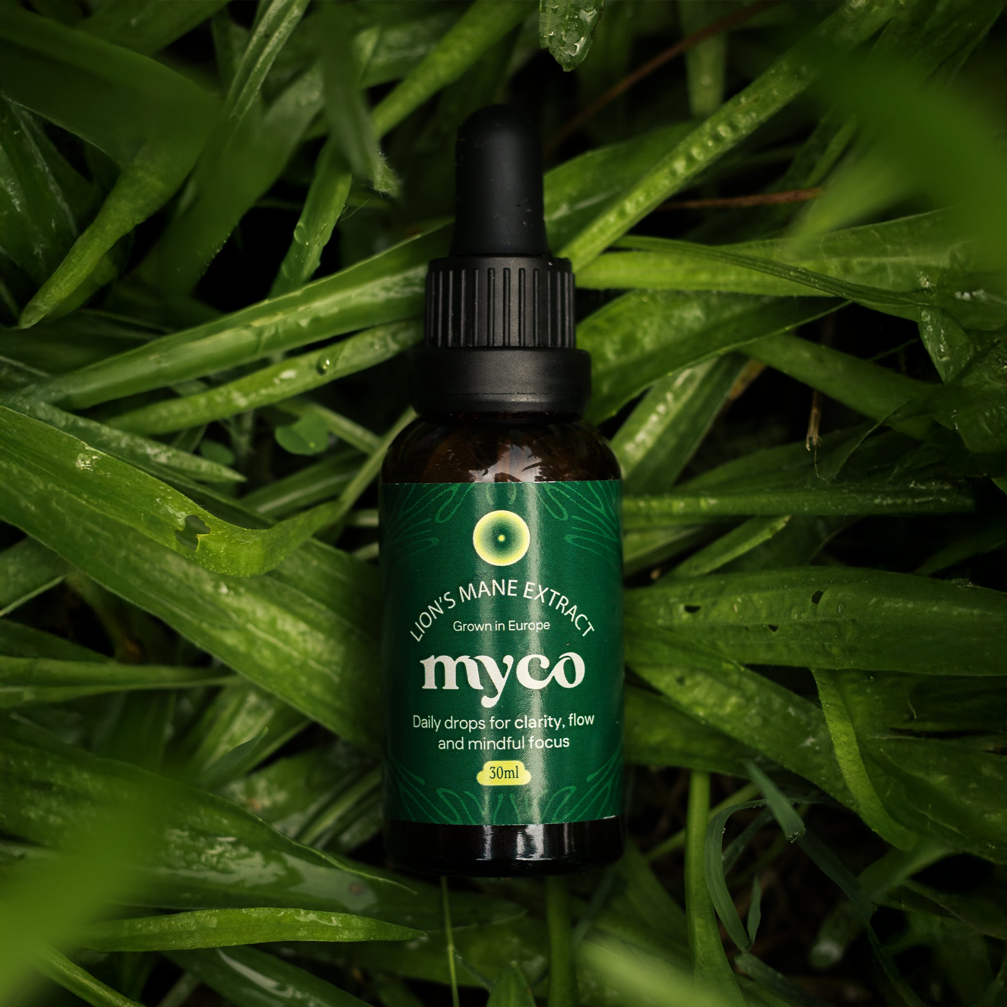 Lion's Mane Extract