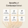 C4-1.jpg Extract Bundle