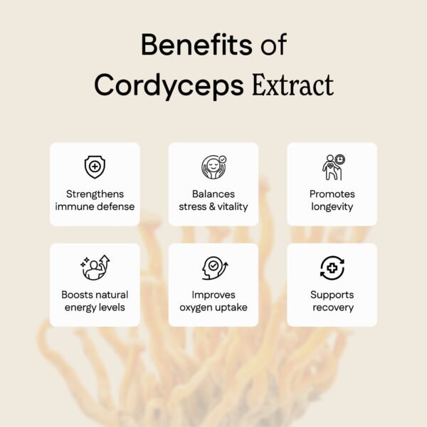 C4.jpg Cordyceps Extract