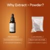 C5.jpg Cordyceps Extract