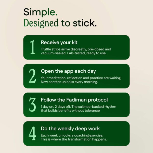 F_F2.jpg Focus & Flow