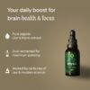 LM1.jpg Lion's Mane Extract