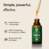LM2.jpg Lion's Mane Extract