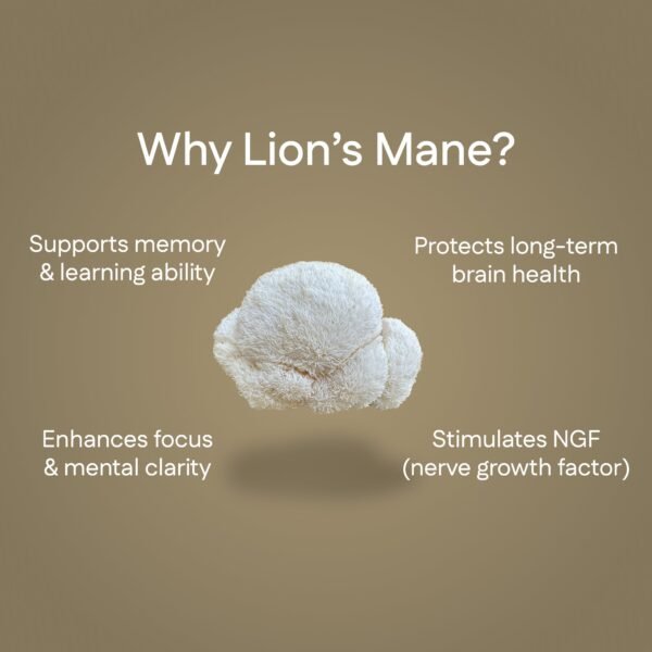 LM3.jpg Lion's Mane Extract
