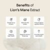 LM4.jpg Lion's Mane Extract