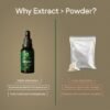 LM5.jpg Lion's Mane Extract