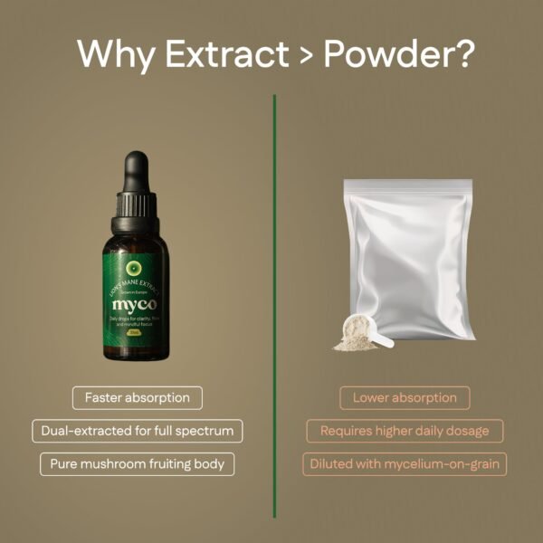 LM5.jpg Lion's Mane Extract