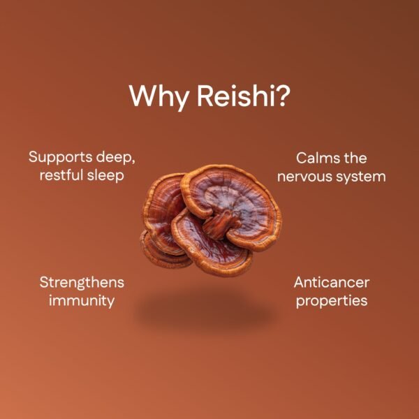 R3.jpg Reishi Extract