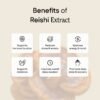 R4.jpg Reishi Extract