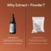 R5.jpg Reishi Extract