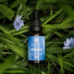 Reishi Extract