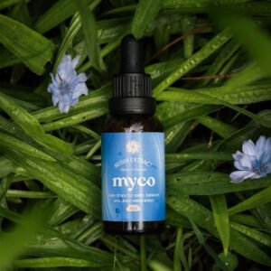 Reishi Extract